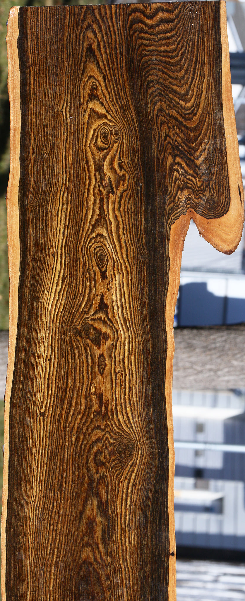 Figured Bocote Live Edge Slab (Free Shipping Excluded)