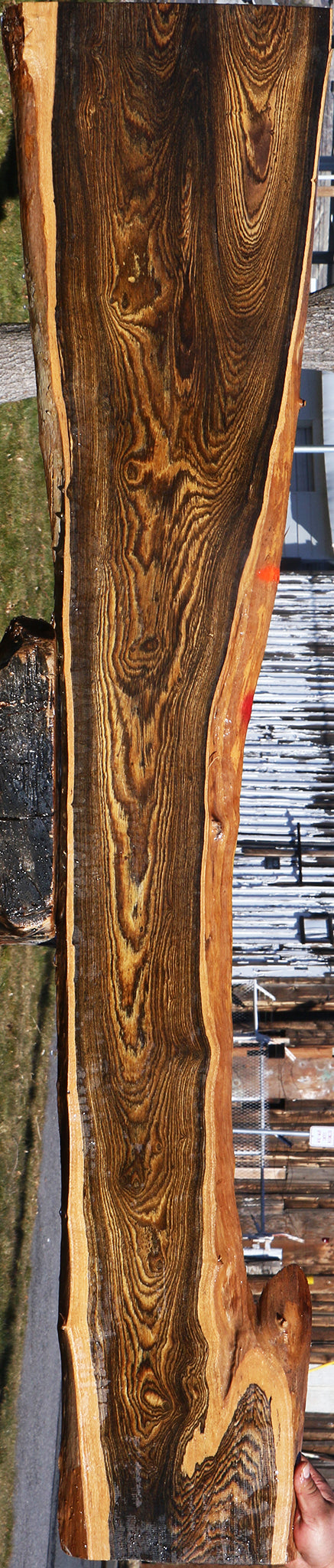 Figured Bocote Live Edge Slab (Free Shipping Excluded)