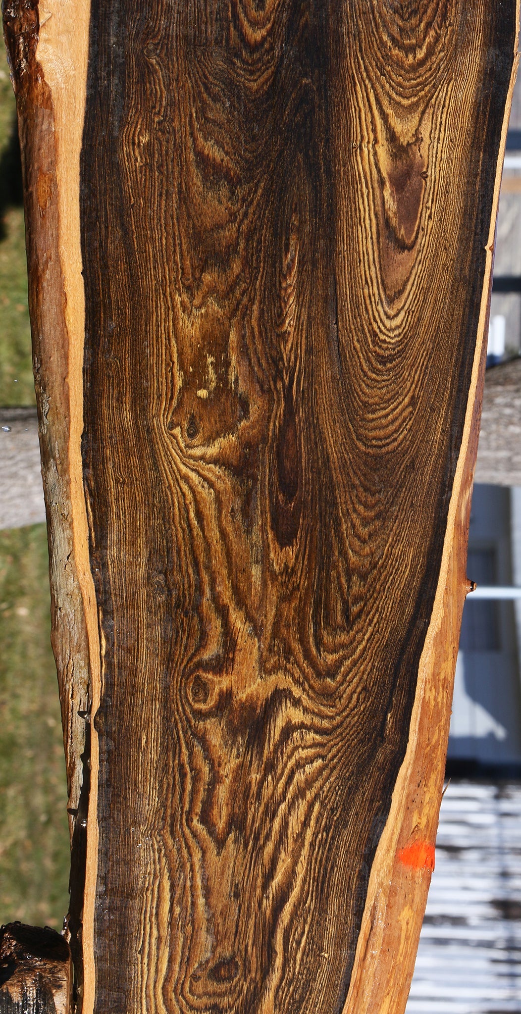 Figured Bocote Live Edge Slab (Free Shipping Excluded)