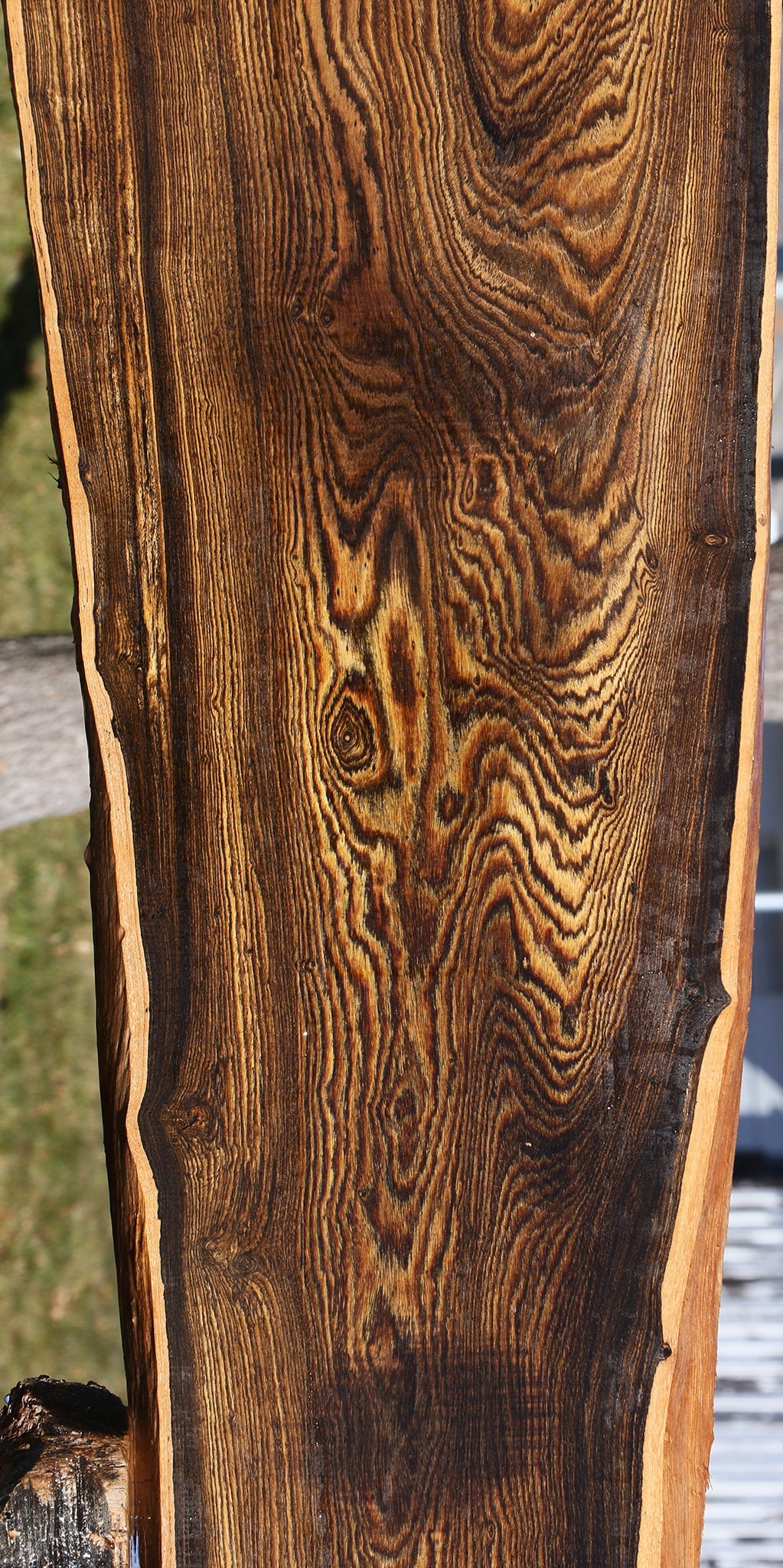 Figured Bocote Live Edge Slab (Free Shipping Excluded)