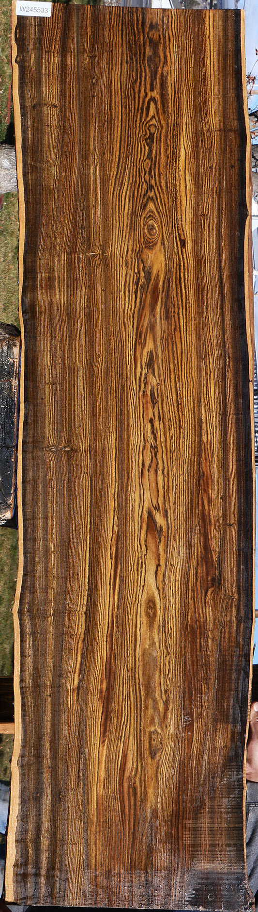 Bocote Live Edge Slab (Free Shipping Excluded)