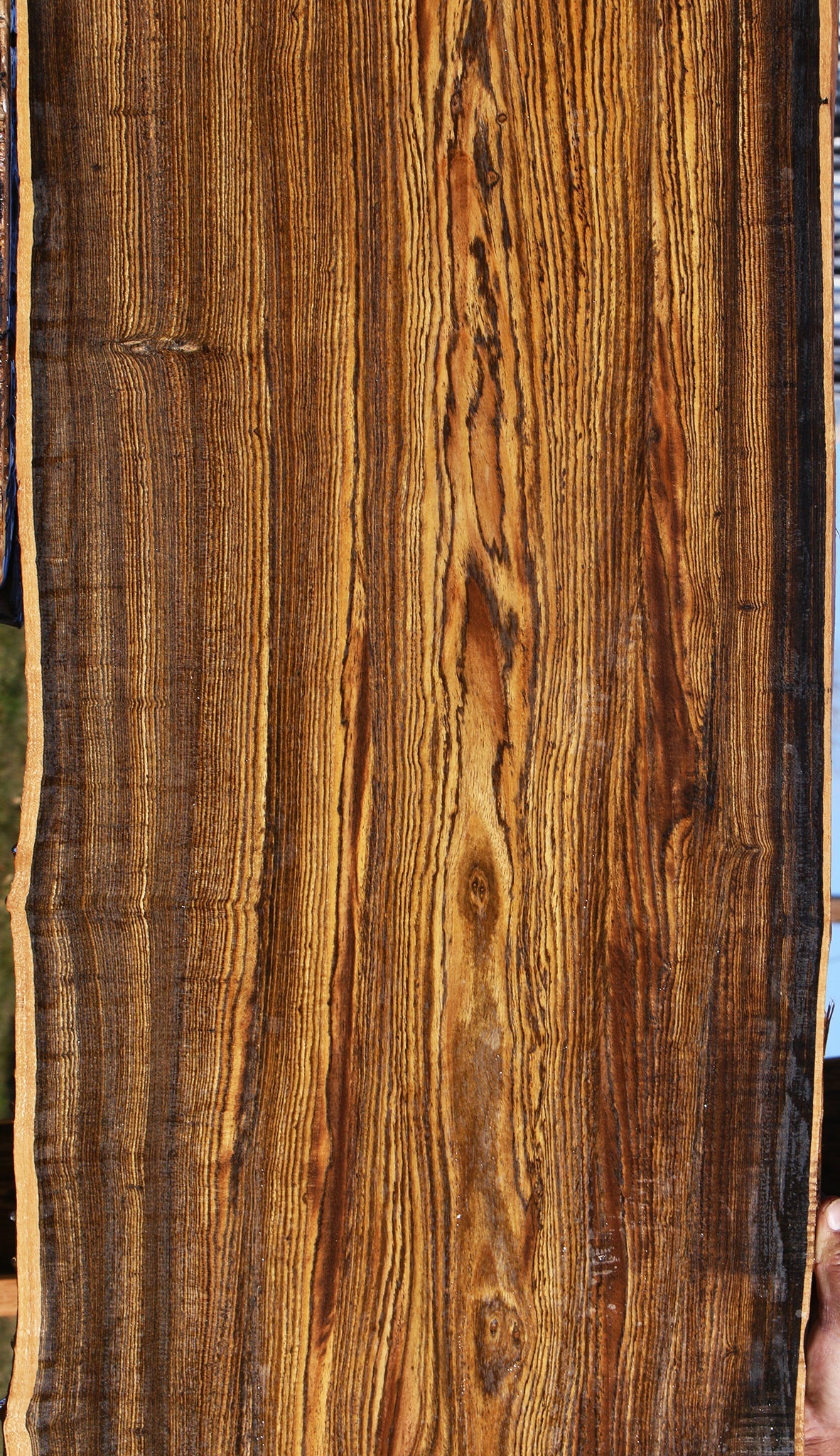 Bocote Live Edge Slab (Free Shipping Excluded)