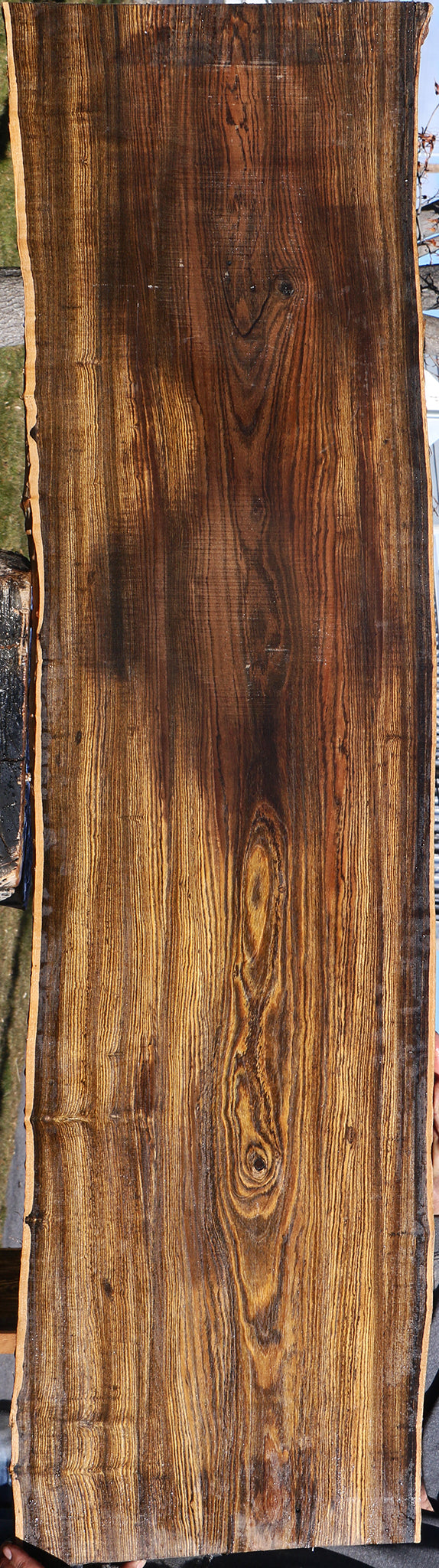 Bocote Live Edge Slab (Free Shipping Excluded)