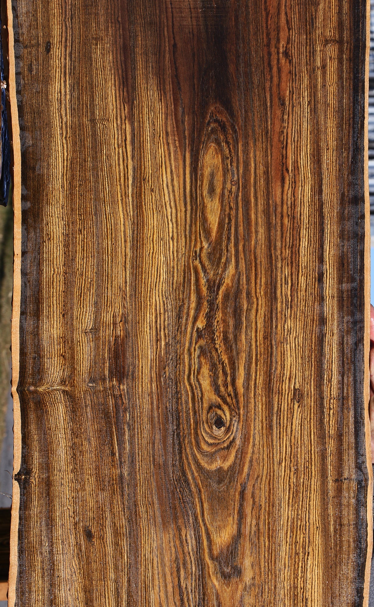 Bocote Live Edge Slab (Free Shipping Excluded)