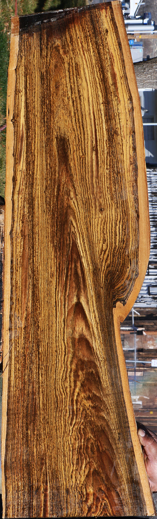 Bocote Live Edge Lumber