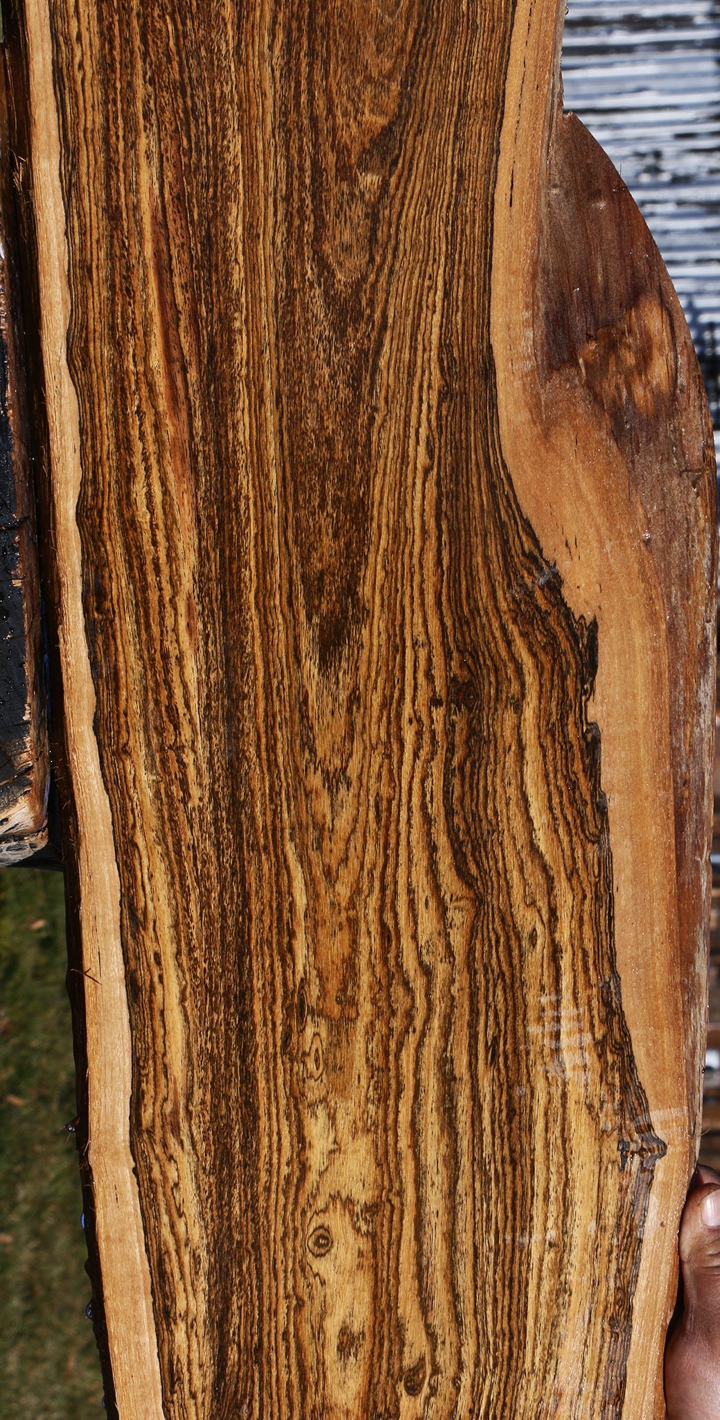Bocote Live Edge Lumber