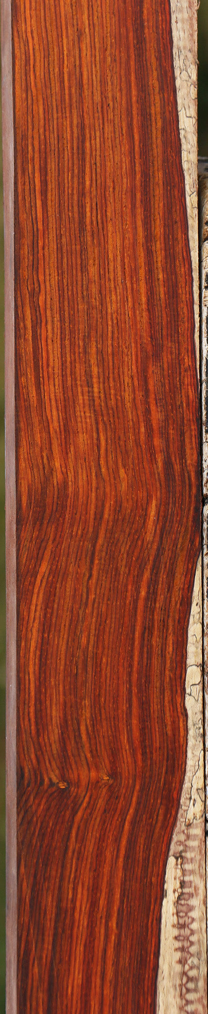Cocobolo Lumber