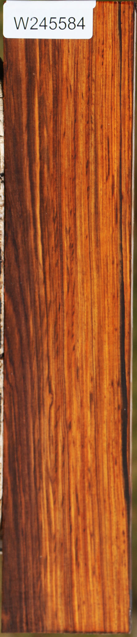 Quartersawn Cocobolo Lumber