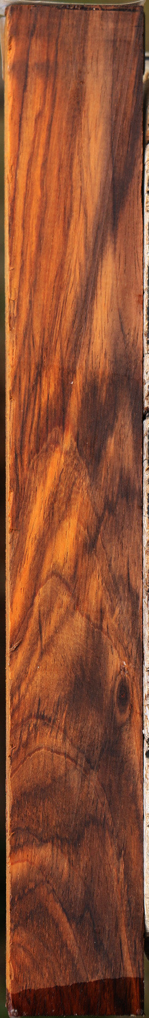 Cocobolo Lumber