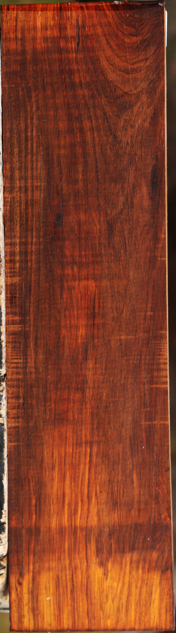 Cocobolo Lumber