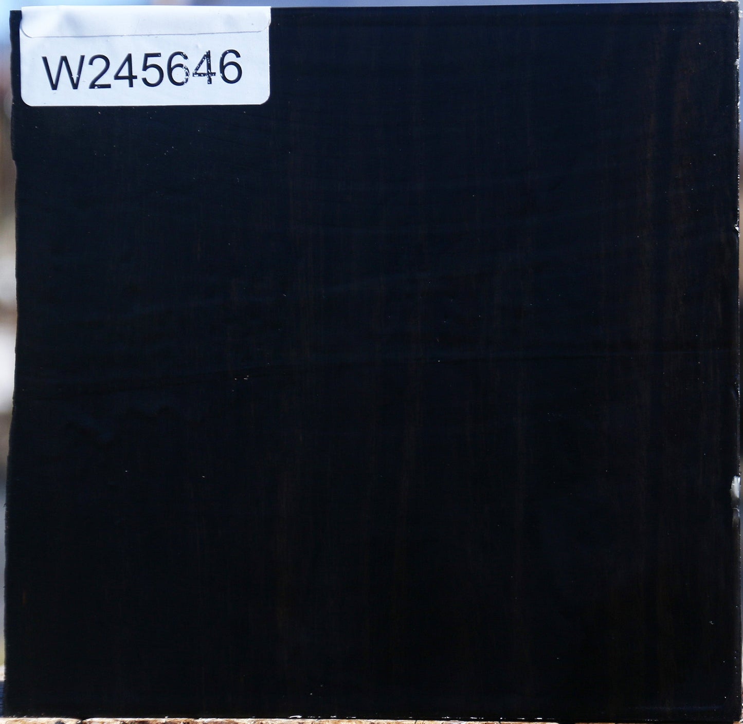 Gabon Ebony Bowl Blank