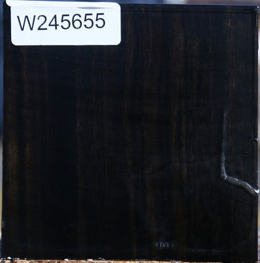 Gabon Ebony Bowl Blank