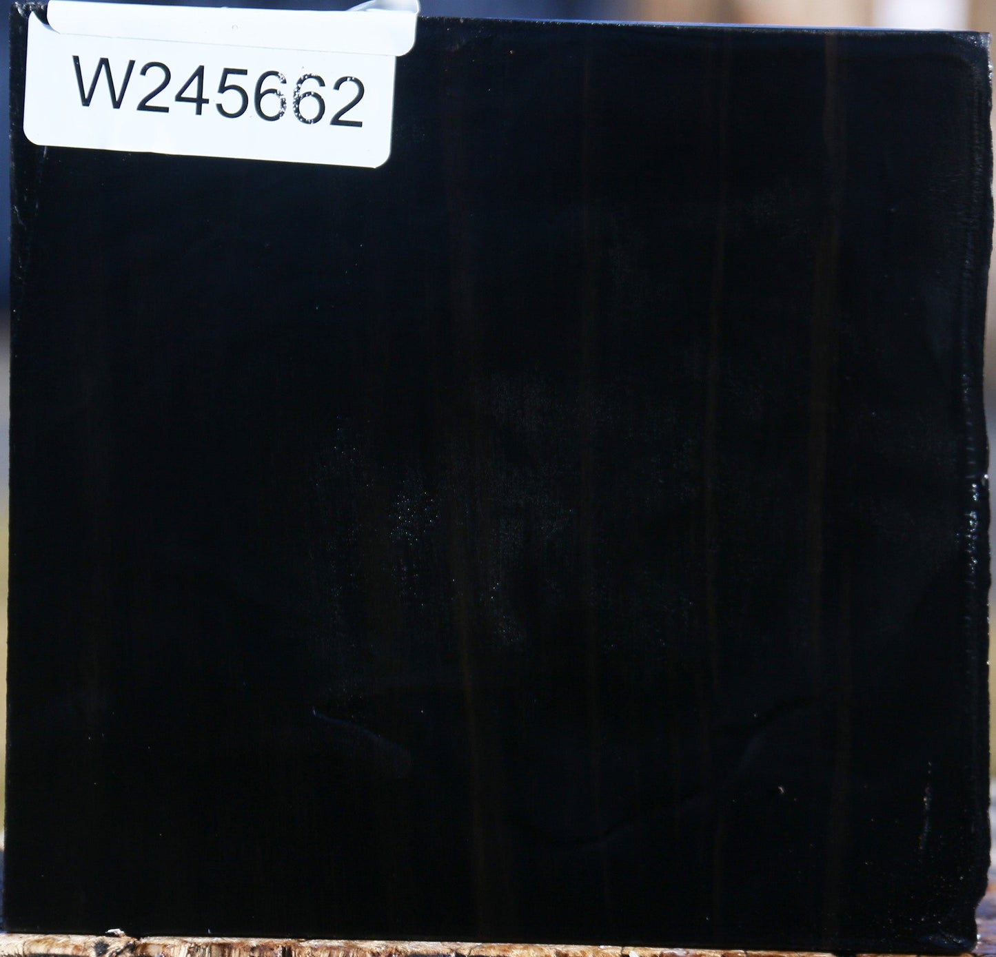 Gabon Ebony Live Edge Bowl Blank