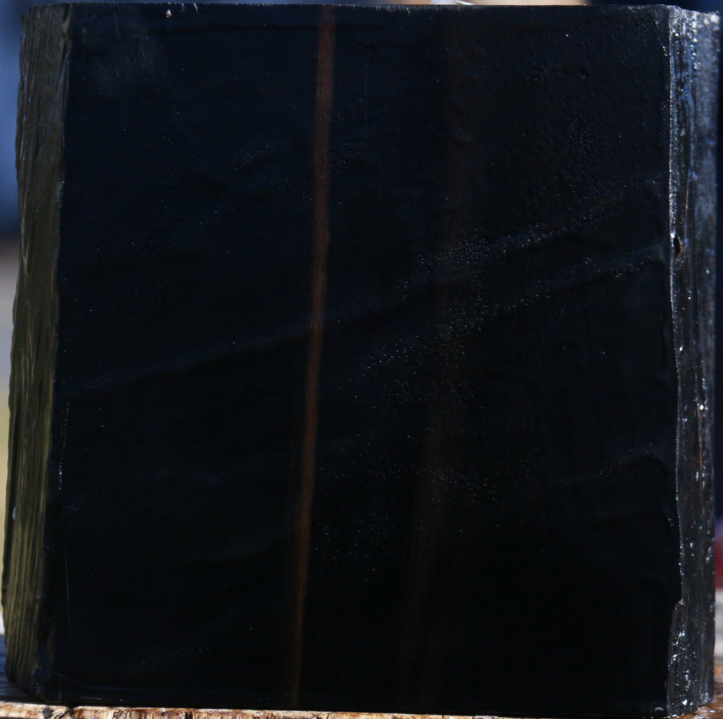 Gabon Ebony Live Edge Bowl Blank