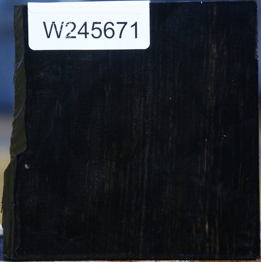 Gabon Ebony Live Edge Bowl Blank