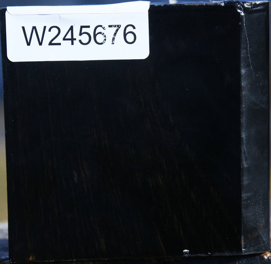 Gabon Ebony Half Log
