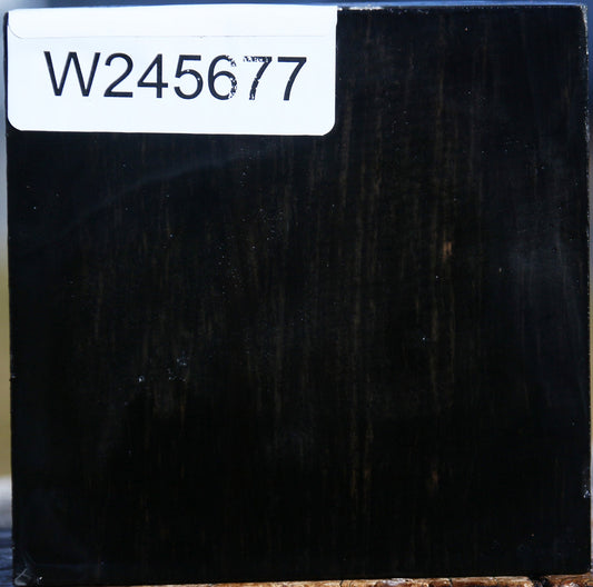 Gabon Ebony Bowl Blank