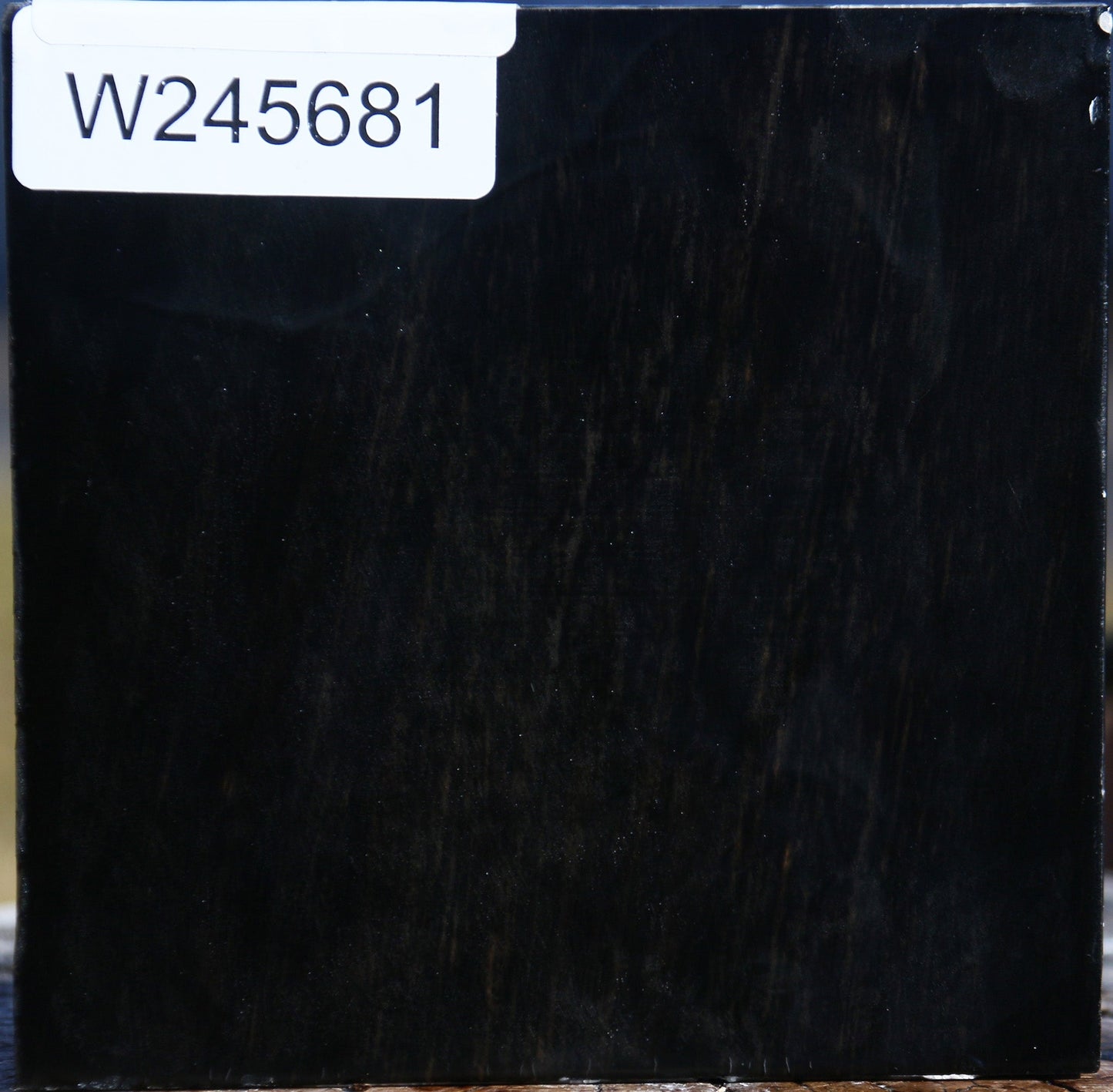 Gabon Ebony Bowl Blank