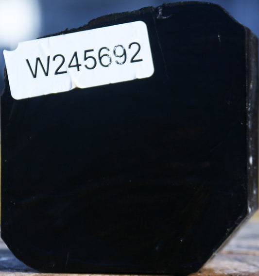 Gabon Ebony Live Edge Bowl Blank