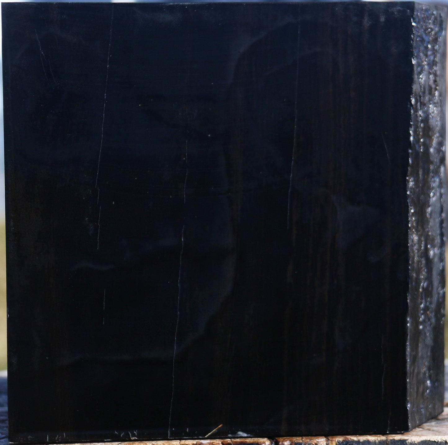 Gabon Ebony Bowl Blank