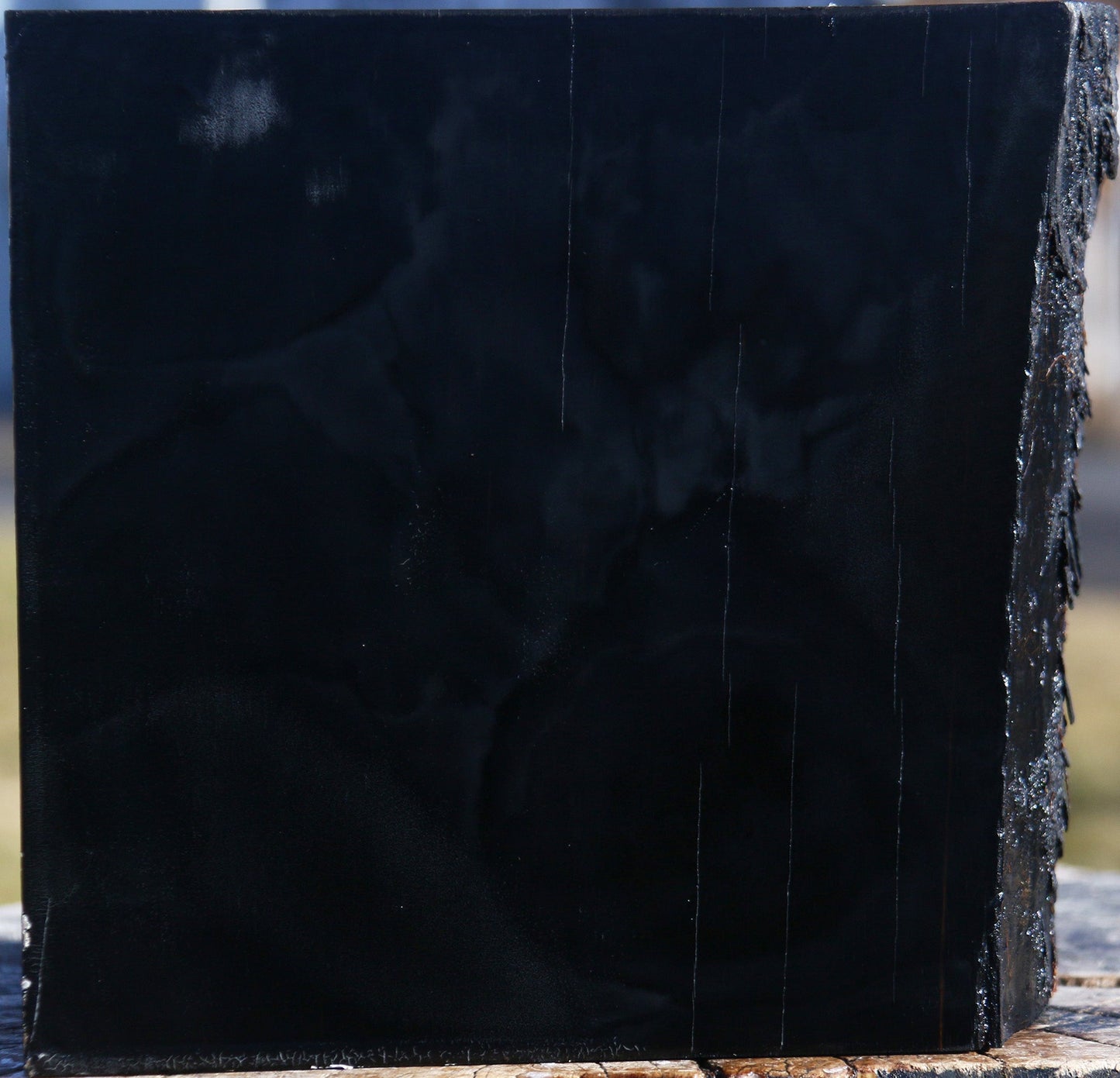 Gabon Ebony Live Edge Bowl Blank