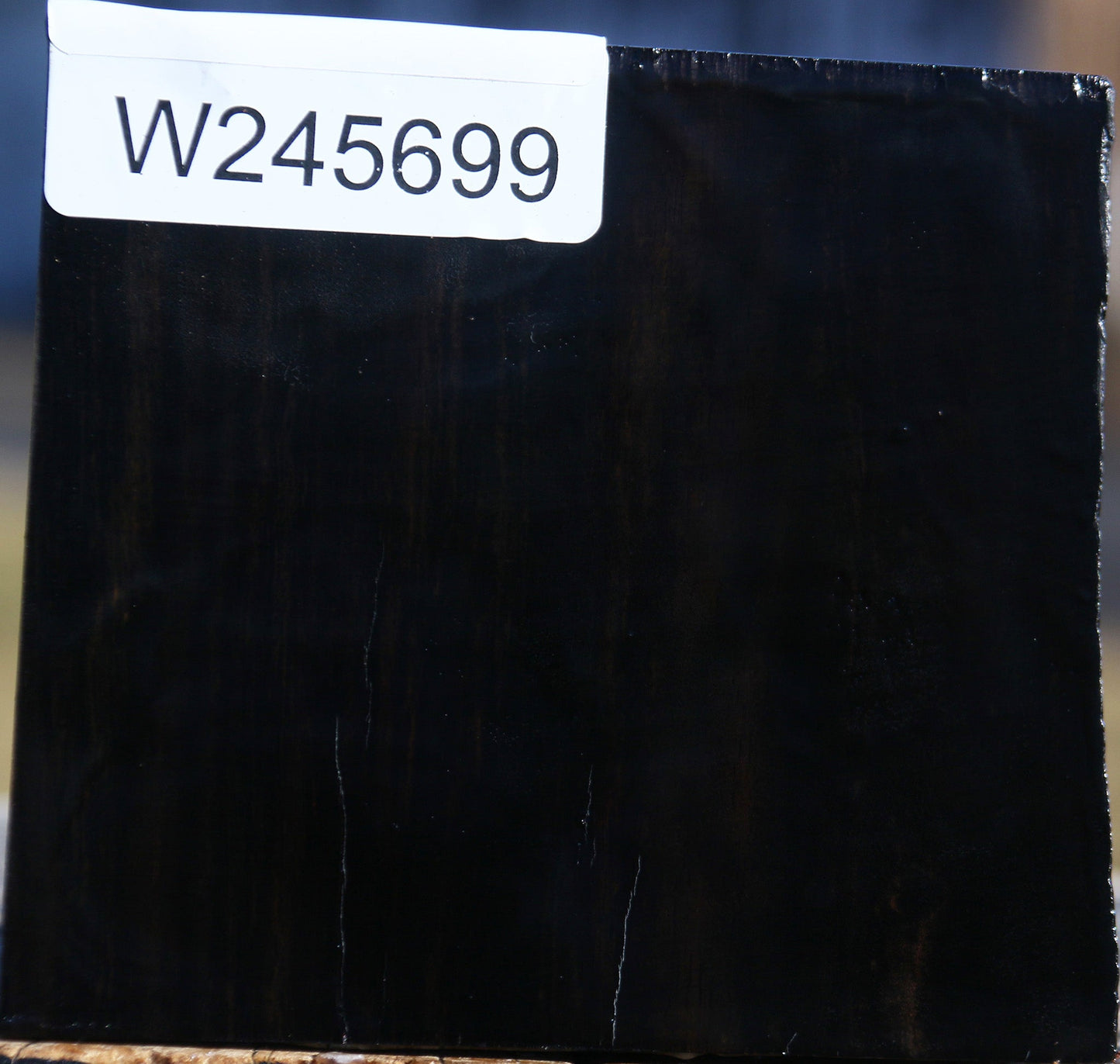 Gabon Ebony Bowl Blank