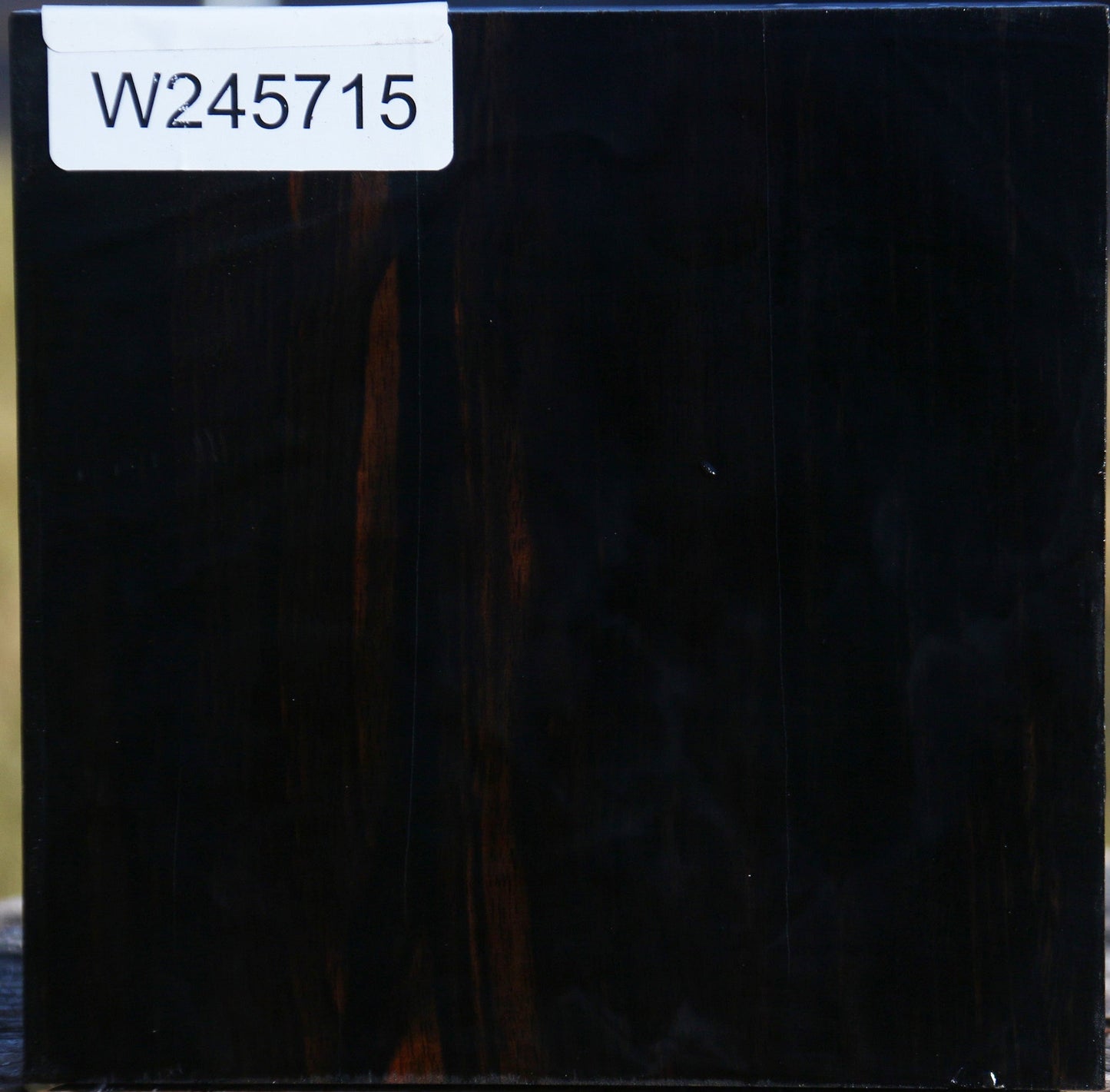 Gabon Ebony Bowl Blank