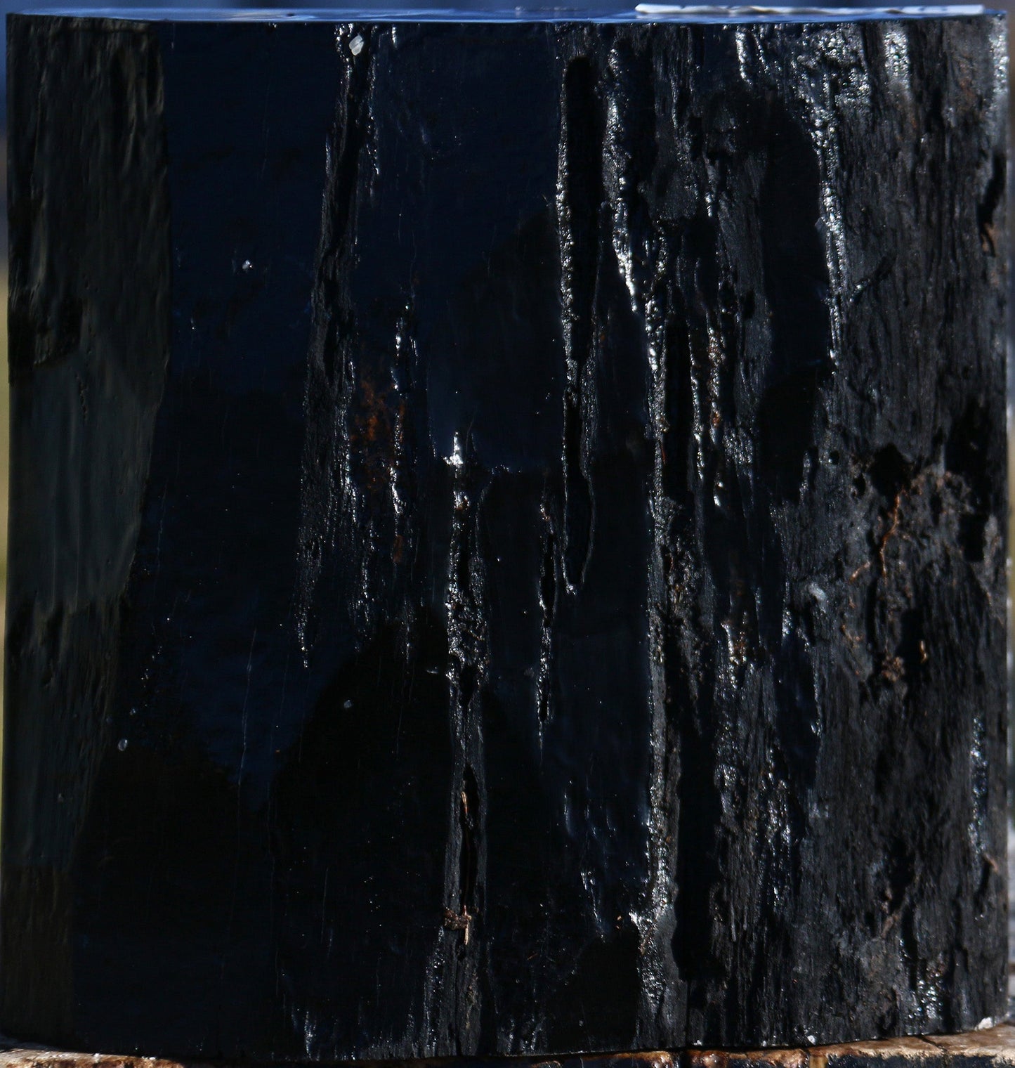 Gabon Ebony Half Log