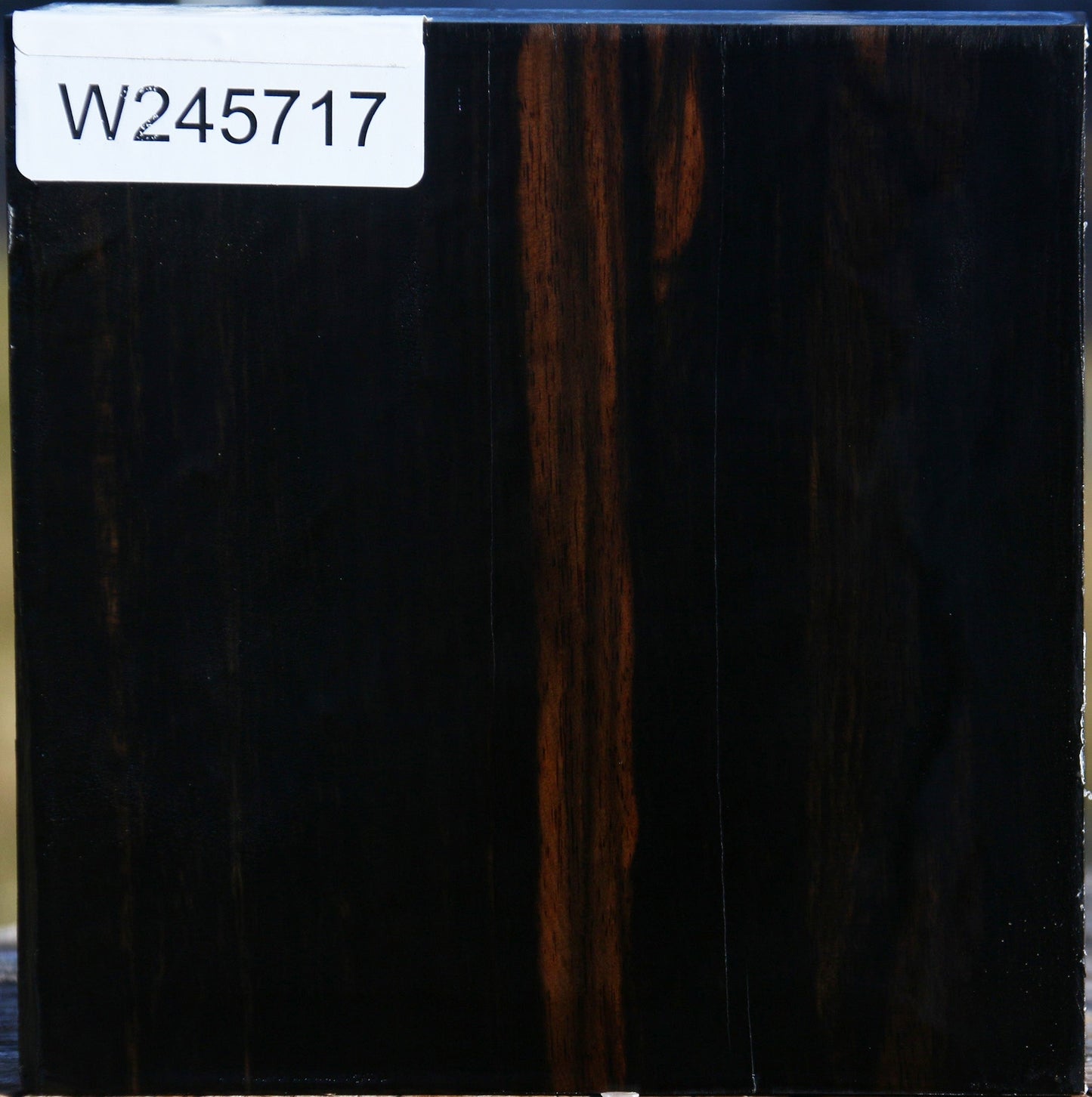 Gabon Ebony Bowl Blank