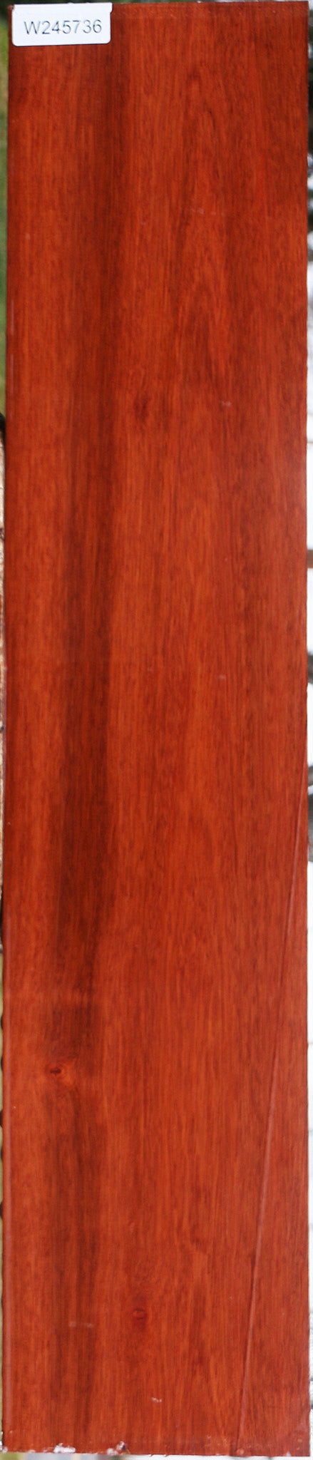 Bloodwood Lumber