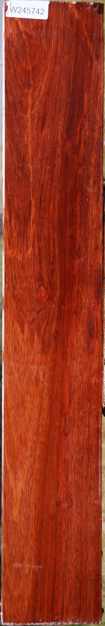Bloodwood Lumber