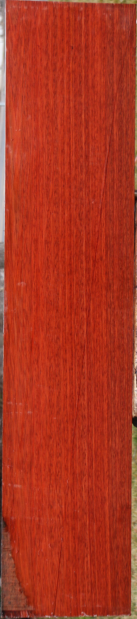 Extra Fancy Bloodwood Lumber