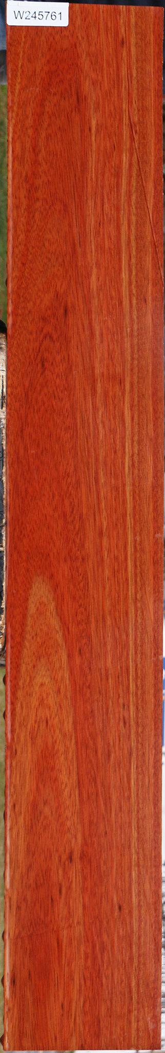 Bloodwood Lumber
