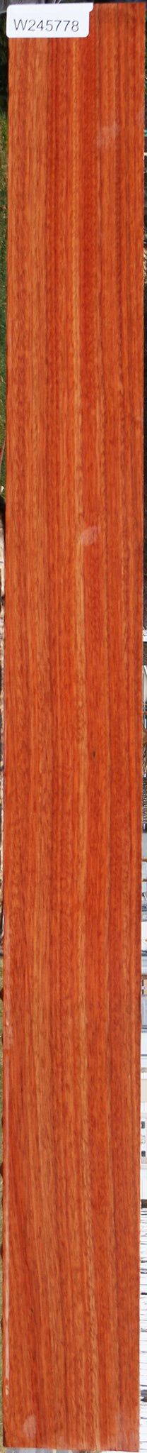 Bloodwood Lumber