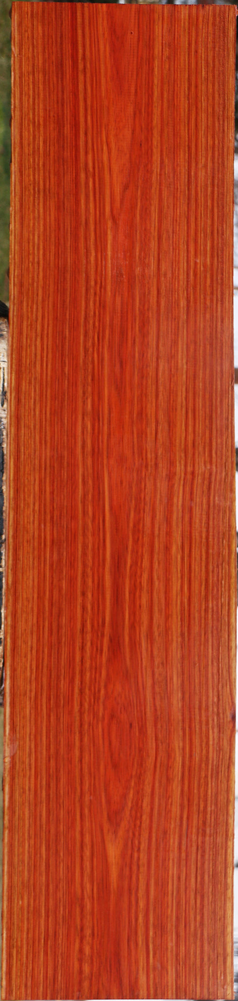Extra Fancy Bloodwood Lumber