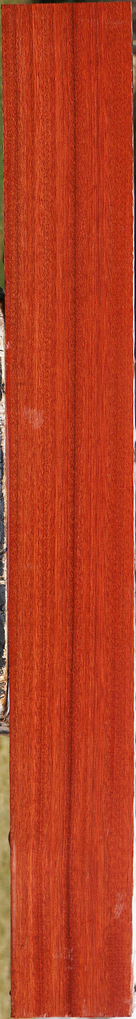 Figured Bloodwood Lumber