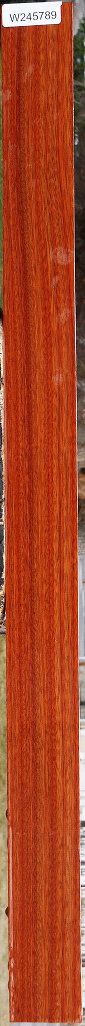 Extra Fancy Bloodwood Lumber