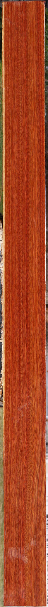 Extra Fancy Bloodwood Lumber
