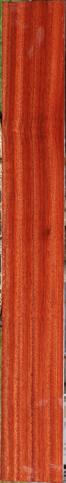 Extra Fancy Bloodwood Lumber
