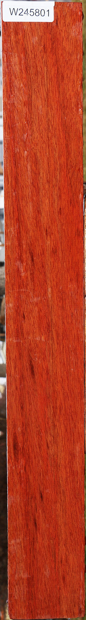 Bloodwood Lumber