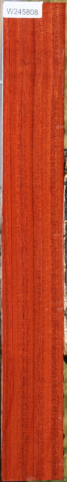 Figured Bloodwood Lumber