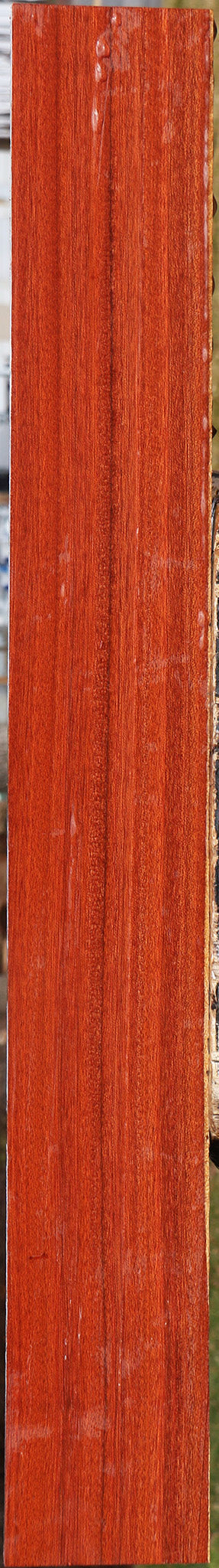 Figured Bloodwood Lumber
