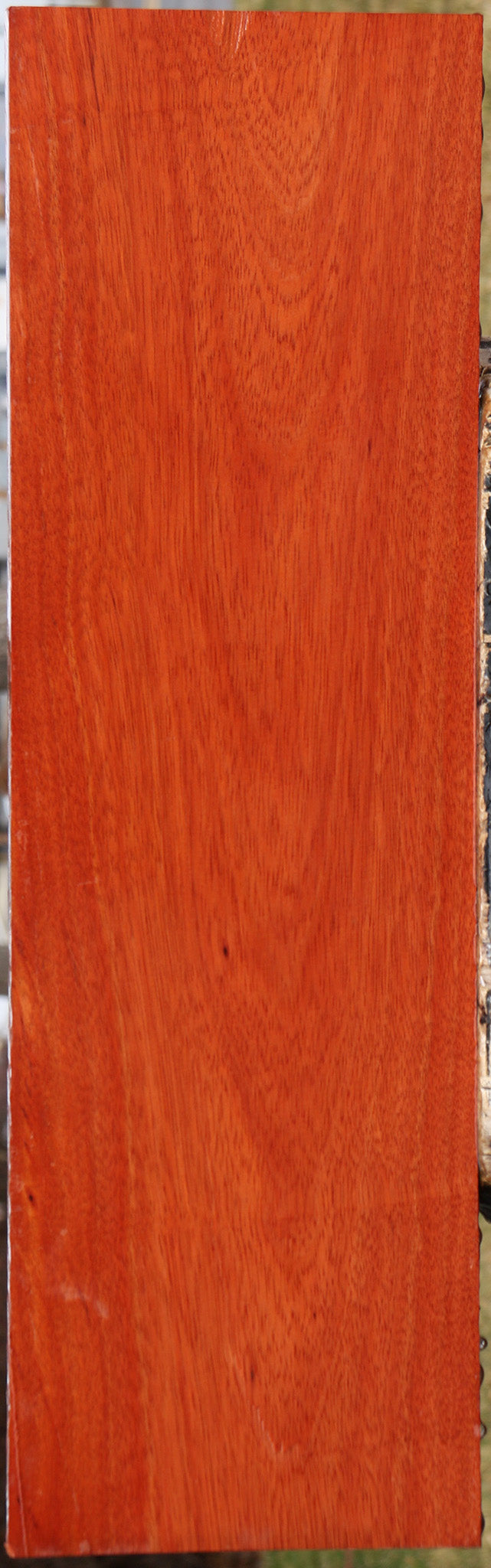 Bloodwood Lumber