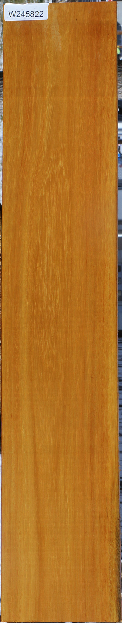 Argentine Osage Orange Lumber