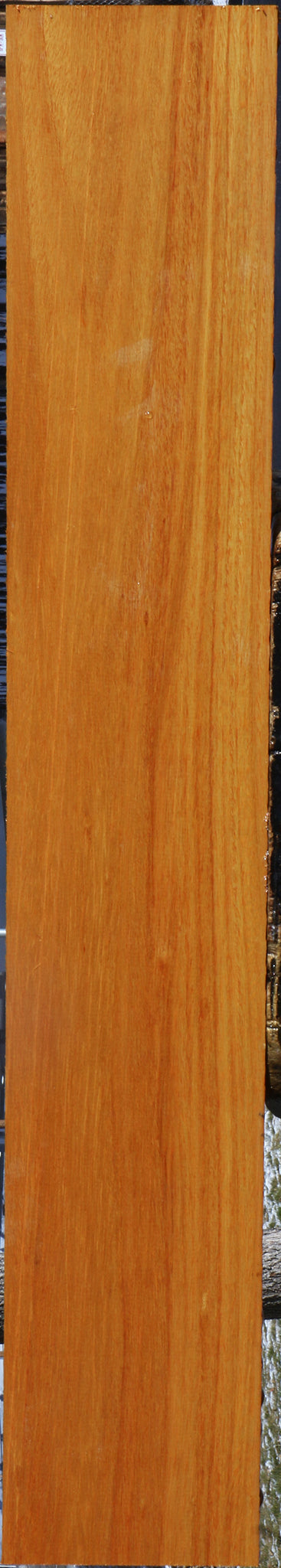 Argentine Osage Orange Lumber