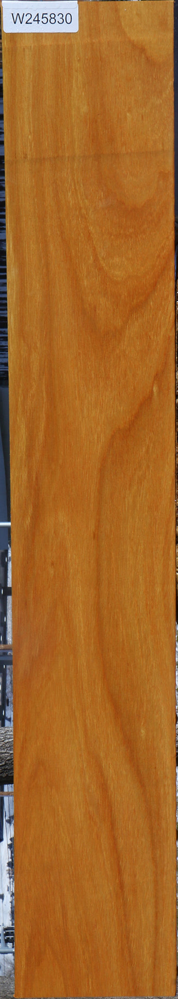 Argentine Osage Orange Lumber