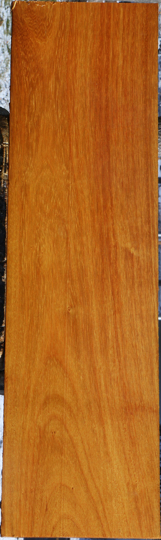 Argentine Osage Orange Lumber