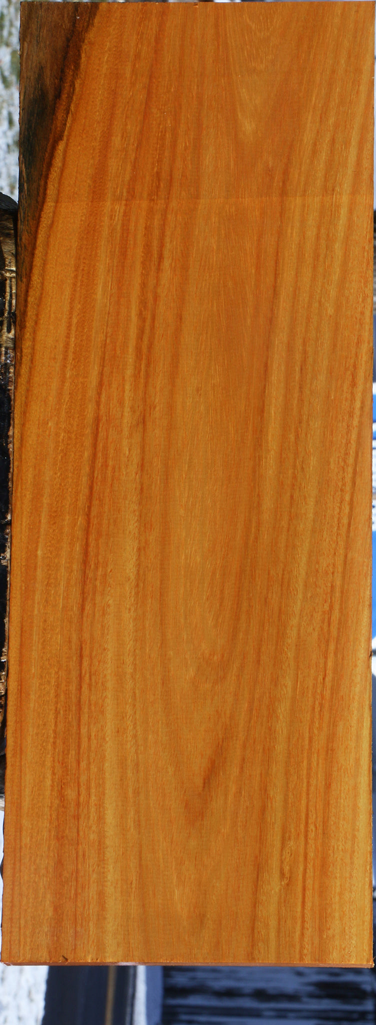 Argentine Osage Orange Lumber