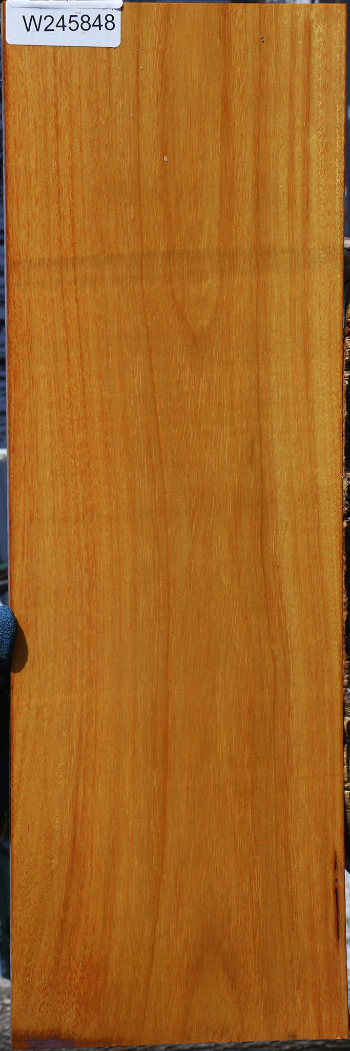 Argentine Osage Orange Lumber