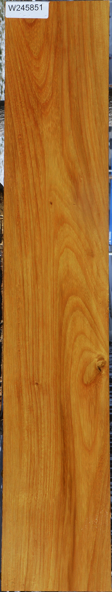 Argentine Osage Orange Lumber